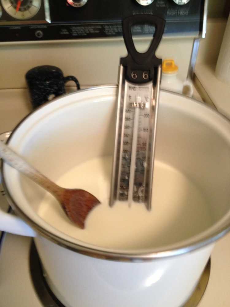 Home made Ricotta - ibskitchn.com