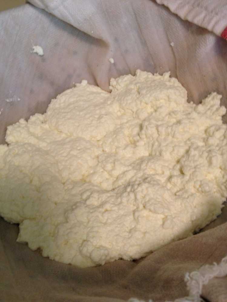 home made ricotta - ibskitchn.com