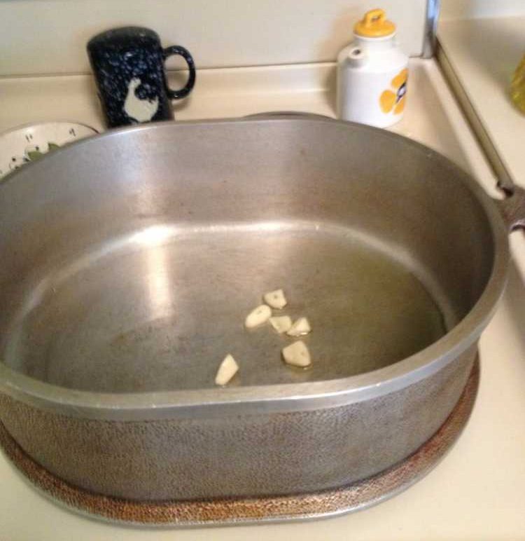 Low Fodmap Veal Stew