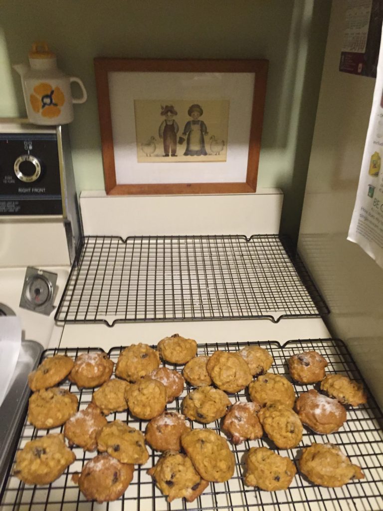 Pumpkin Oatmeal Cookies1 2015-10-29 024
