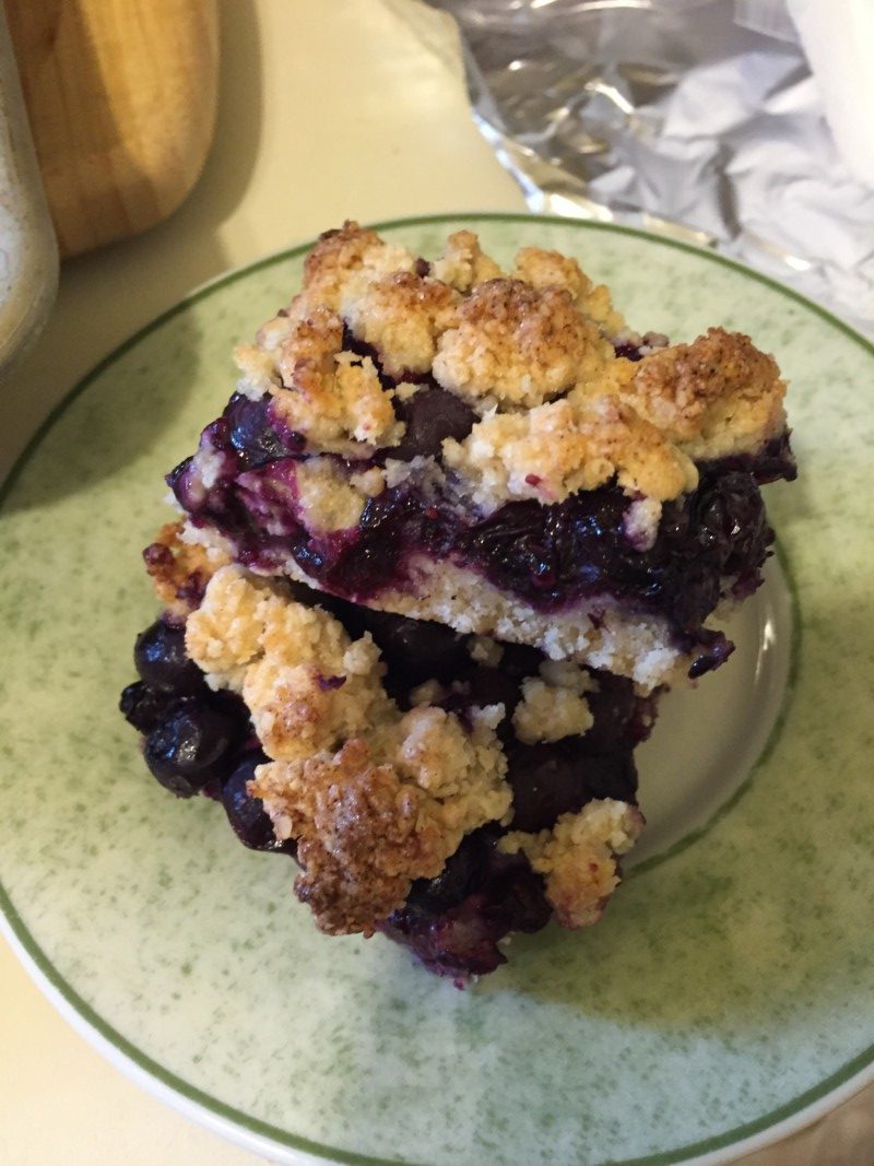 Low fodmap Blueberry Oatmeal Crumb Bars